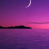mg227518gmail.com