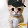 ashika.chettri1418