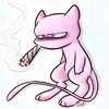 trawzecat