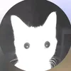 al_nrt