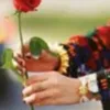 rose_laddyy