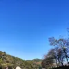 masaoosan