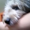 aigamepuesya_o_ua