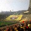 morenegro891