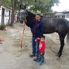 rrobertponce