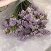 primroseechvrls