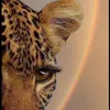 raniaazad6
