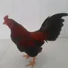 ngan11125