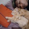 ahmadsyarifudin_05