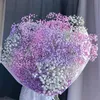 tramhuong_1