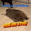angryraccoonboii