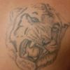elman_caniyev