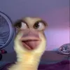 ericaesaus