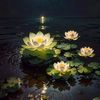 binazir.akter12345