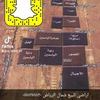 al_taweel111