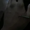thy_pp