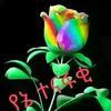 mikel6870