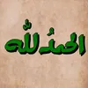 amirabaper242