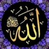 use5572868