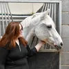 emmadeequestrian