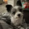 cajunjerkat