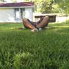 manuellegonzales