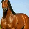 user1021340087284