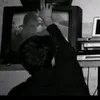 roj_sport7