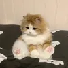 thorw_07