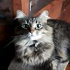 tootsandfloofs3
