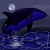blueorca16