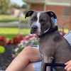 mommabird48