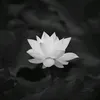 boom__12343
