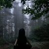 moonlit._.whispers._