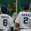 araiba02_06
