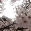 usaki1.66mei