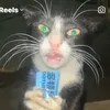 caapybereee