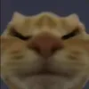 raaraaxa