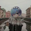 rem391c
