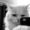 rasman_mi