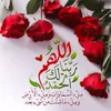 mahammd256