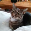 markwalkermumu