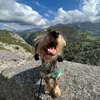 zoeyzozy