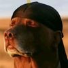pip_uzi