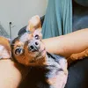 heloyzeoliveira99