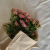 lliixse