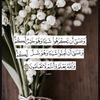 سنرحل ويبقى الأثر 🕊️