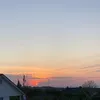 robin_stvg1