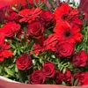 Nargase_m1586