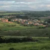 rosemarideoliveir2